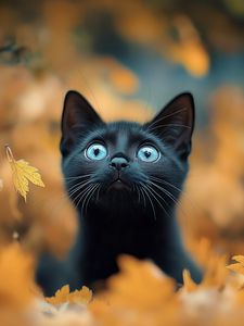 Preview wallpaper kitten, cat, autumn, fallen leaves, cute