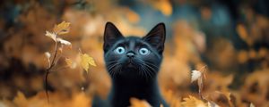 Preview wallpaper kitten, cat, autumn, fallen leaves, cute