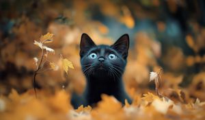 Preview wallpaper kitten, cat, autumn, fallen leaves, cute