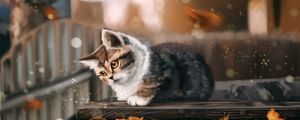 Preview wallpaper kitten, cat, leaves, autumn, art