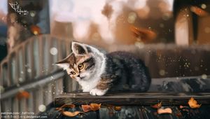Preview wallpaper kitten, cat, leaves, autumn, art