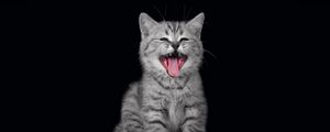 Preview wallpaper kitten, crying, open mouth, dark background