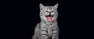 Preview wallpaper kitten, crying, open mouth, dark background