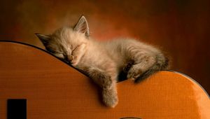 Preview wallpaper kitten, guitar, lie down, sleep