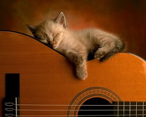 Preview wallpaper kitten, guitar, lie down, sleep