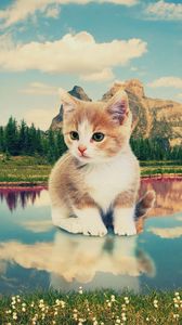 Preview wallpaper kitten, nature, lake, photoshop