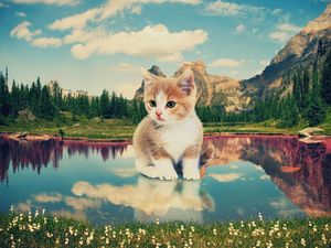 Preview wallpaper kitten, nature, lake, photoshop