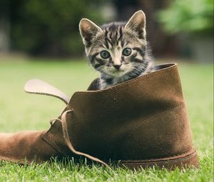 Preview wallpaper kitten, shoes, grass