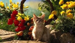 Preview wallpaper kitten, sitting, grass, tulips, flowers, shade