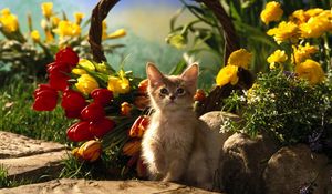 Preview wallpaper kitten, sitting, grass, tulips, flowers, shade