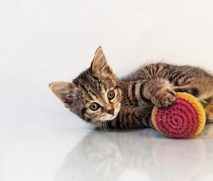 Preview wallpaper kitten, toys, cat, playful, background