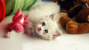 Preview wallpaper kitten, toys, playful, kid