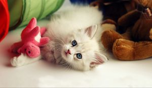 Preview wallpaper kitten, toys, playful, kid