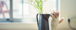 Preview wallpaper kitten, vase, flowers, parquet