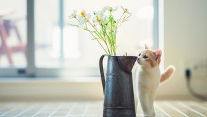 Preview wallpaper kitten, vase, flowers, parquet