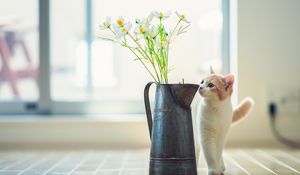 Preview wallpaper kitten, vase, flowers, parquet