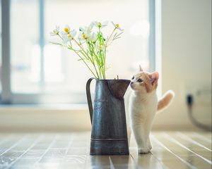 Preview wallpaper kitten, vase, flowers, parquet