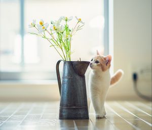 Preview wallpaper kitten, vase, flowers, parquet