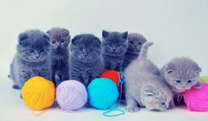 Preview wallpaper kittens, british, balls, playful