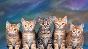 Preview wallpaper kittens, many, sitting