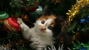 Preview wallpaper kitty, face, spotted, tree, christmas, christmas decorations