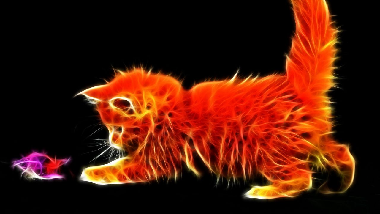 Wallpaper kitty, fluffy, playful, toy, abstraction
