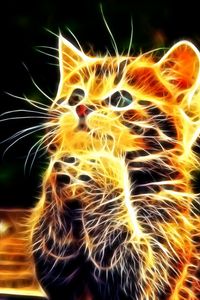 Preview wallpaper kitty, furry, paws, cute, abstract