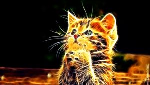 Preview wallpaper kitty, furry, paws, cute, abstract