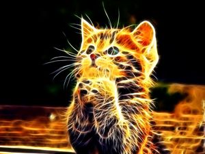 Preview wallpaper kitty, furry, paws, cute, abstract