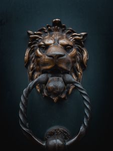 Preview wallpaper knoker, door, lion, iron, metal