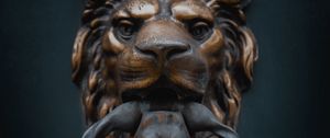 Preview wallpaper knoker, door, lion, iron, metal