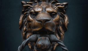 Preview wallpaper knoker, door, lion, iron, metal