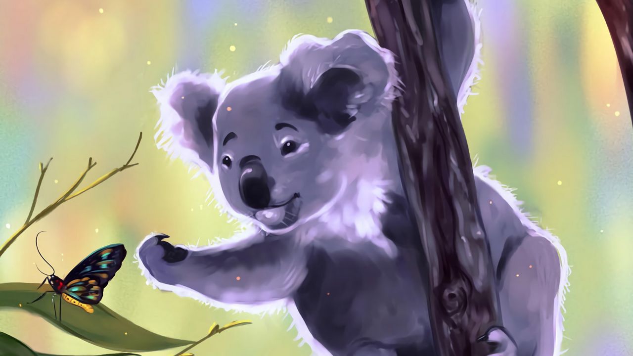 Wallpaper koala, butterfly, touch, branches, art