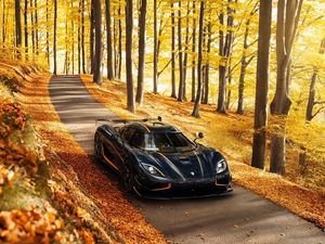 Preview wallpaper koenigsegg, agera, rs, side view, autumn, trees