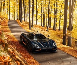 Preview wallpaper koenigsegg, agera, rs, side view, autumn, trees