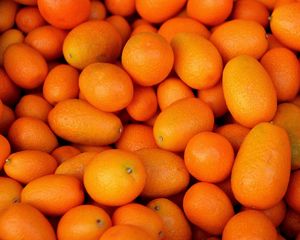 Preview wallpaper kumquat, fruit, many