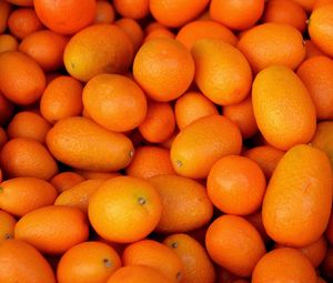 Preview wallpaper kumquat, fruit, many