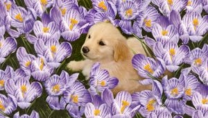 Preview wallpaper labrador, puppy, flowers