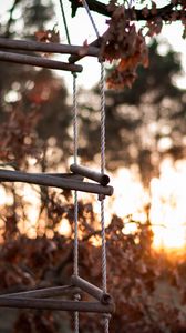 Preview wallpaper ladder, rope, tree, sunset, autumn