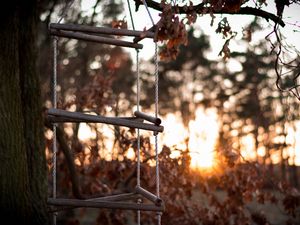 Preview wallpaper ladder, rope, tree, sunset, autumn