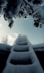 Preview wallpaper ladder, snow, branch, winter