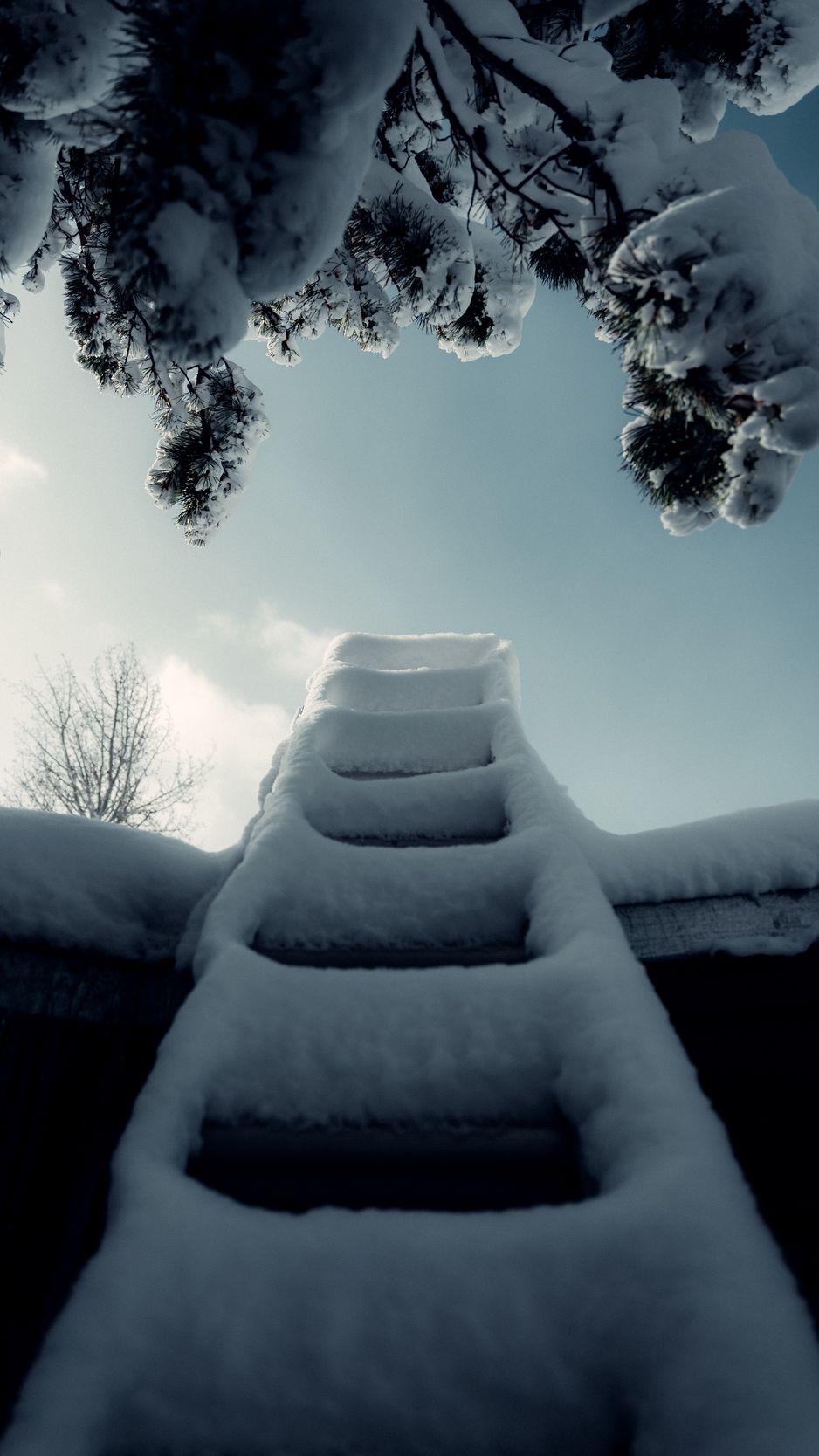 938x1668 Wallpaper ladder, snow, branch, winter