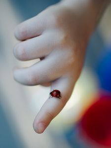 Preview wallpaper ladybug, insect, hand, finger, macro