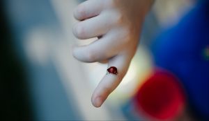 Preview wallpaper ladybug, insect, hand, finger, macro