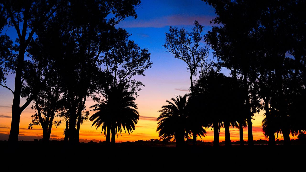 Wallpaper lagoon, palm trees, landscape, sunset