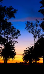 Preview wallpaper lagoon, palm trees, landscape, sunset