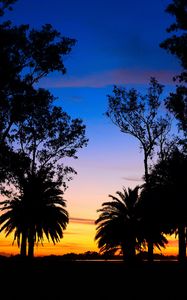 Preview wallpaper lagoon, palm trees, landscape, sunset