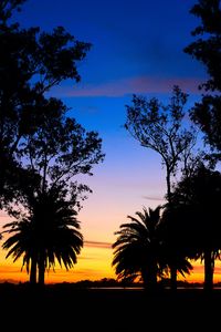 Preview wallpaper lagoon, palm trees, landscape, sunset