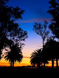 Preview wallpaper lagoon, palm trees, landscape, sunset