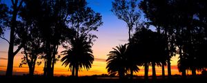 Preview wallpaper lagoon, palm trees, landscape, sunset